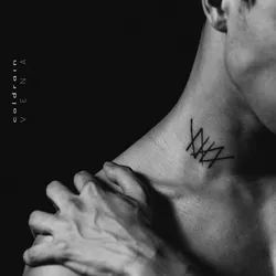 Cover of the album VENA